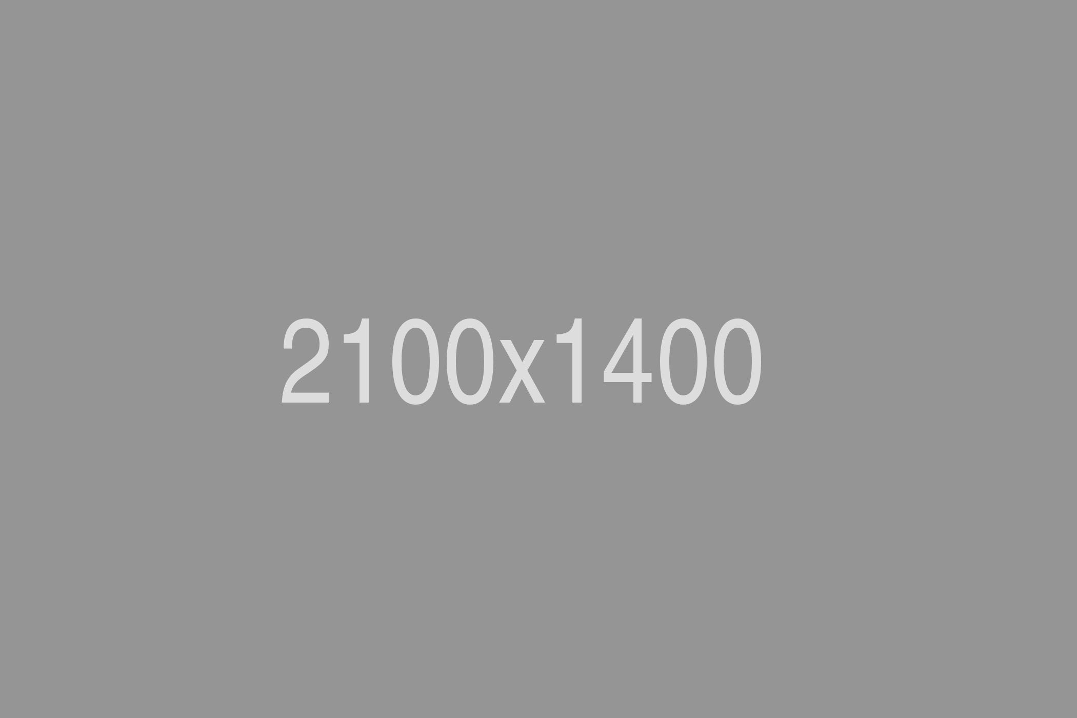 Ein graues Platzhalterbild mit 2100x1400 in der Mitte in weißer Schrift. - Demo-Seite